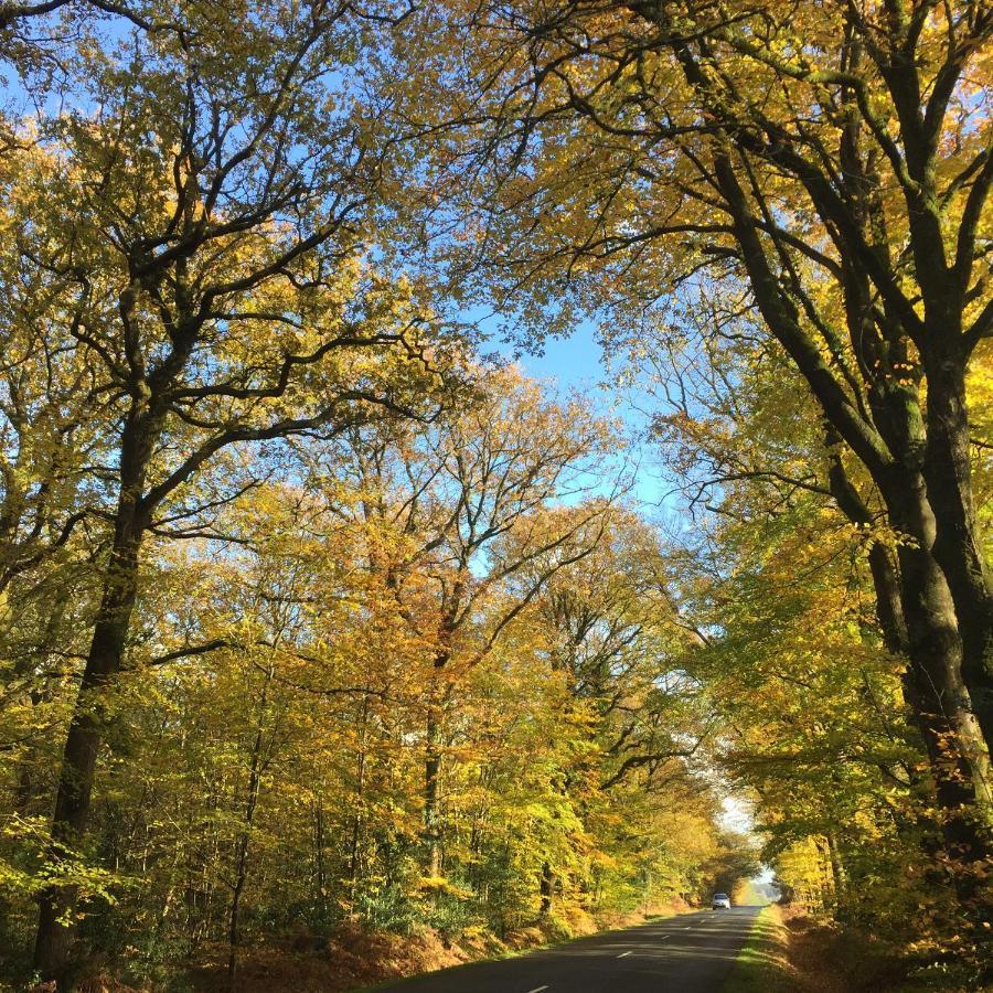 L'Hotie De Broceliande, Au Coeur Des Sites Naturels Et Legendaires 뺑뽕 외부 사진