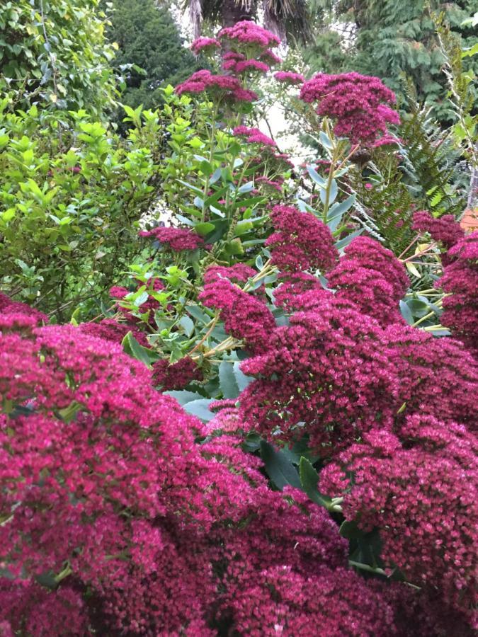 L'Hotie De Broceliande, Au Coeur Des Sites Naturels Et Legendaires 뺑뽕 외부 사진