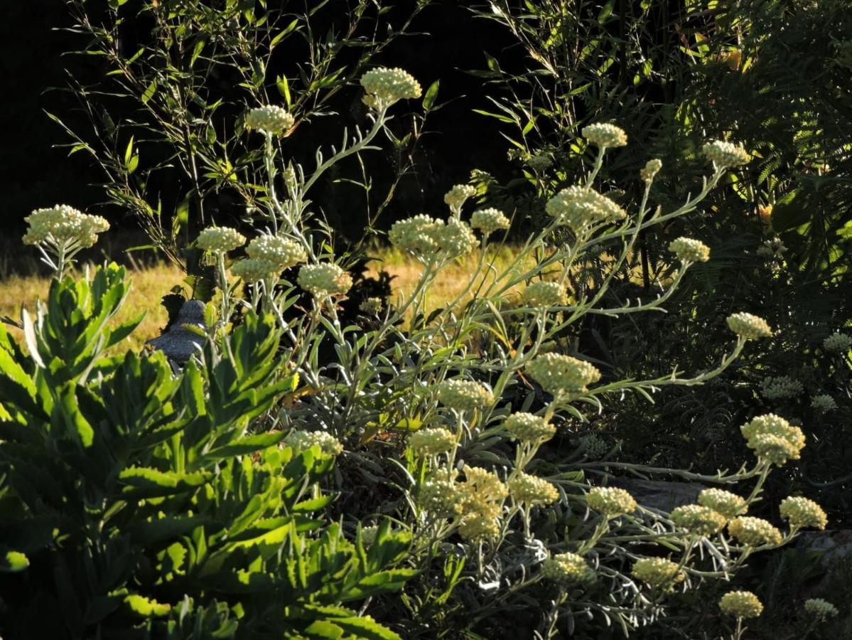 L'Hotie De Broceliande, Au Coeur Des Sites Naturels Et Legendaires 뺑뽕 외부 사진