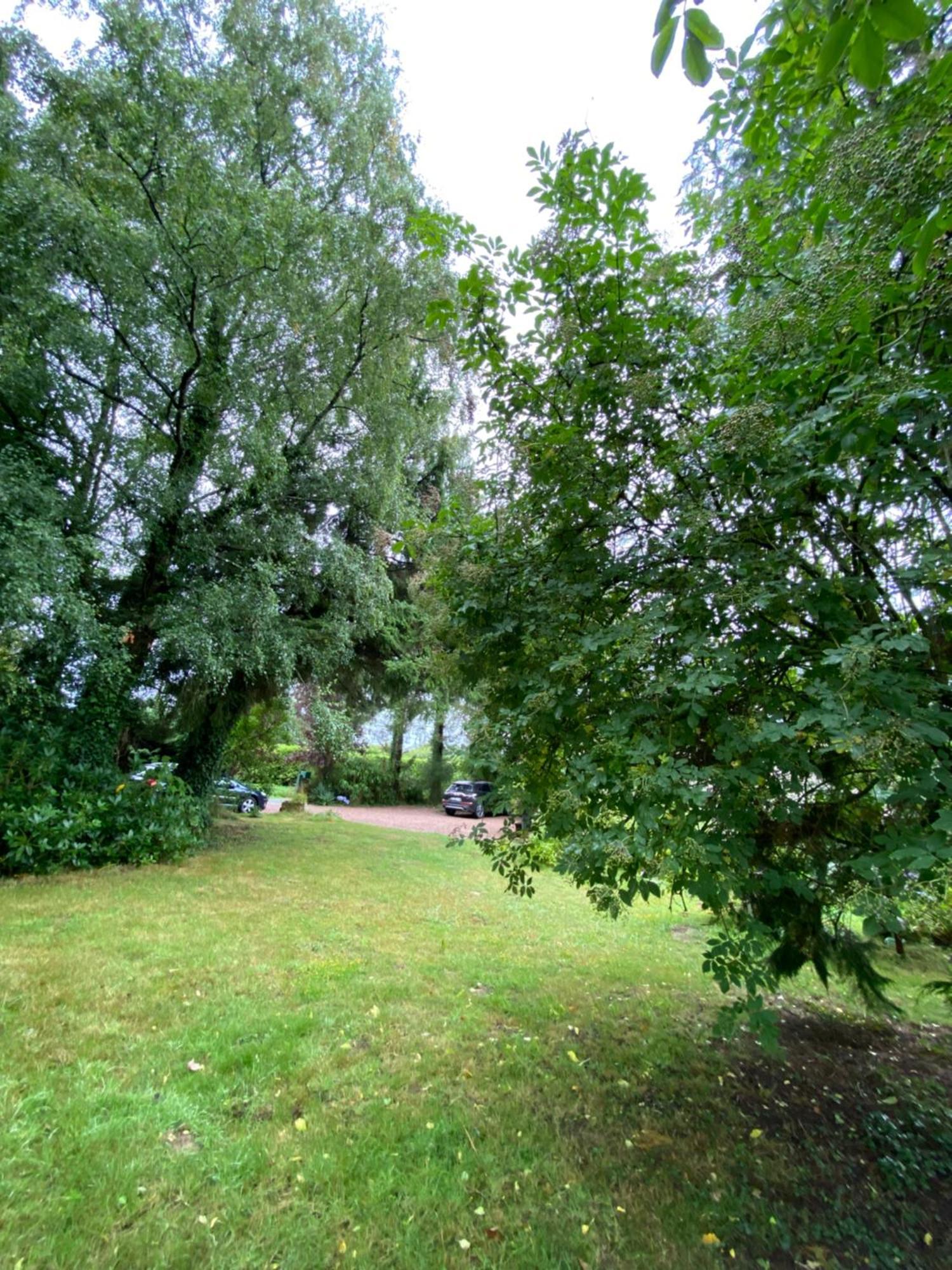 L'Hotie De Broceliande, Au Coeur Des Sites Naturels Et Legendaires 뺑뽕 외부 사진