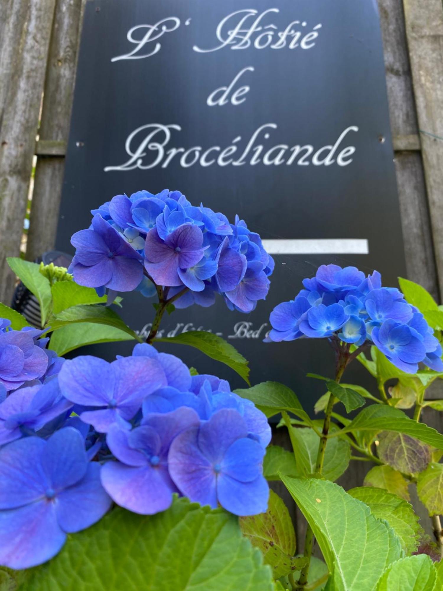 L'Hotie De Broceliande, Au Coeur Des Sites Naturels Et Legendaires 뺑뽕 외부 사진