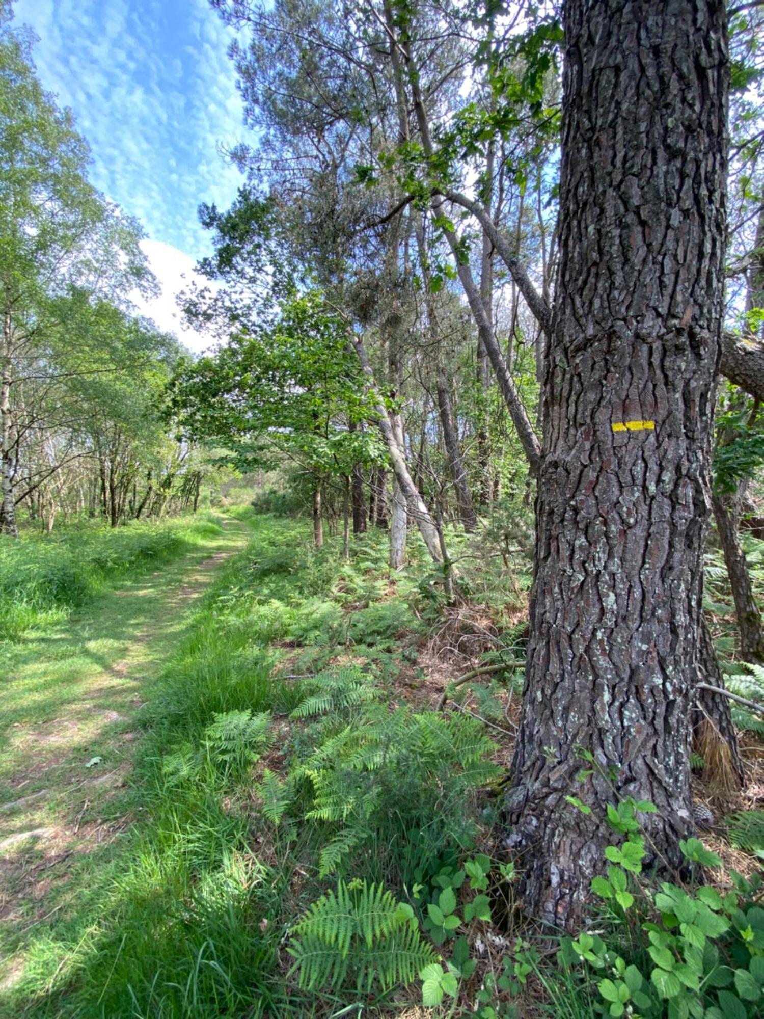 L'Hotie De Broceliande, Au Coeur Des Sites Naturels Et Legendaires 뺑뽕 외부 사진