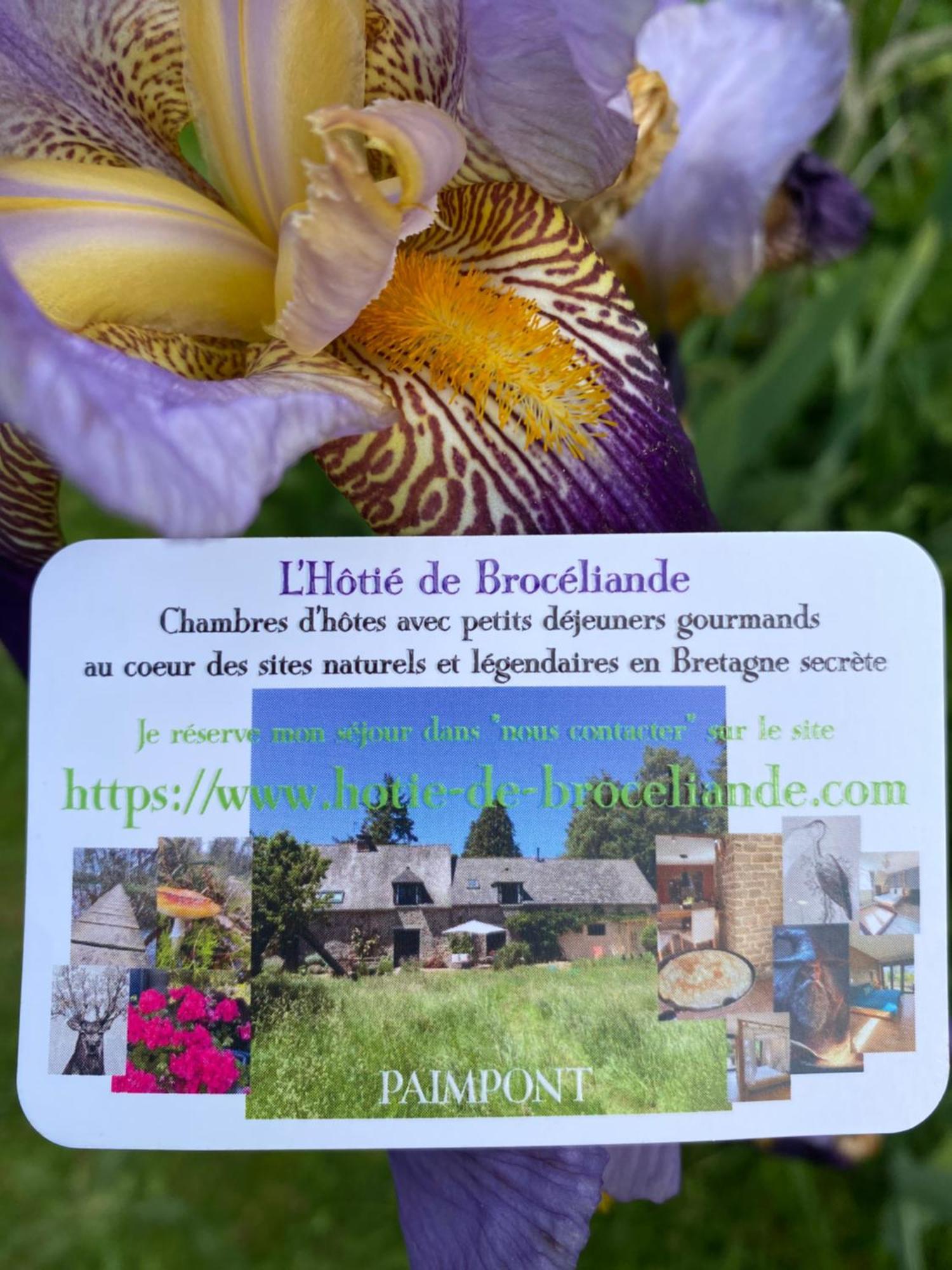 L'Hotie De Broceliande, Au Coeur Des Sites Naturels Et Legendaires 뺑뽕 외부 사진